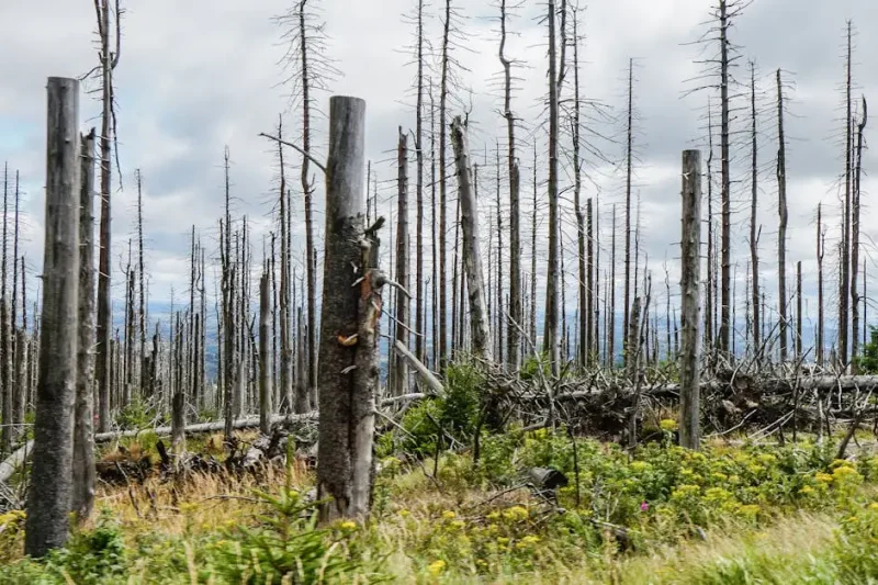 Core updates en herstelkansen