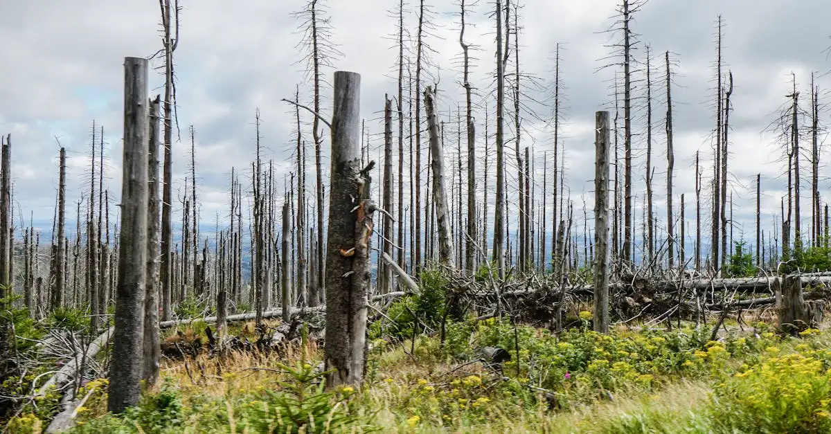 Core updates en herstelkansen