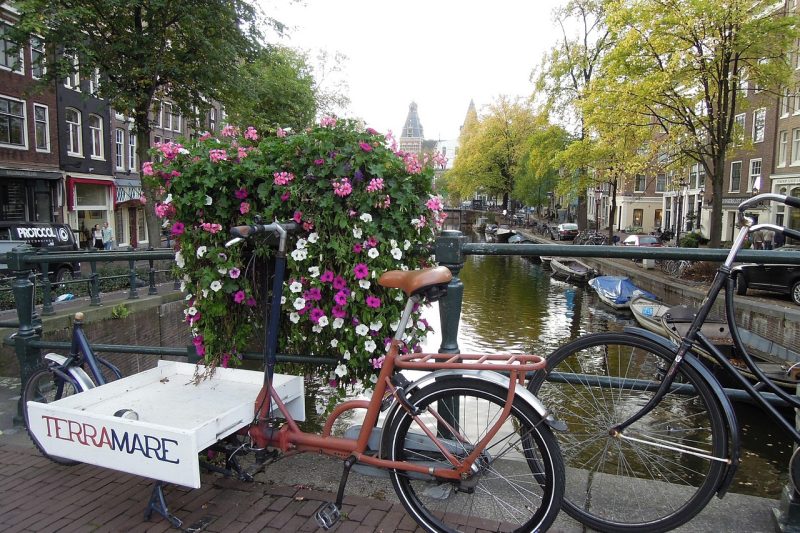 Linkbuilding voor webshops in Nederland