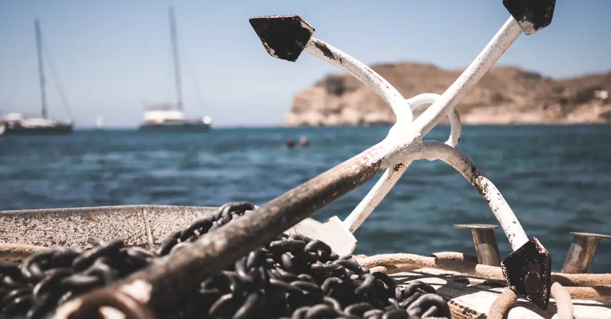 Wat is anchor text?