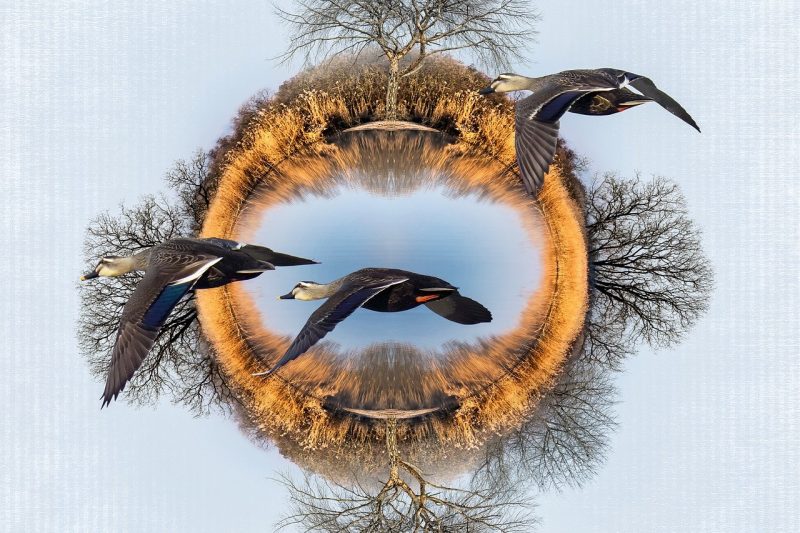 Meer volatiliteit rond transactionele keywords