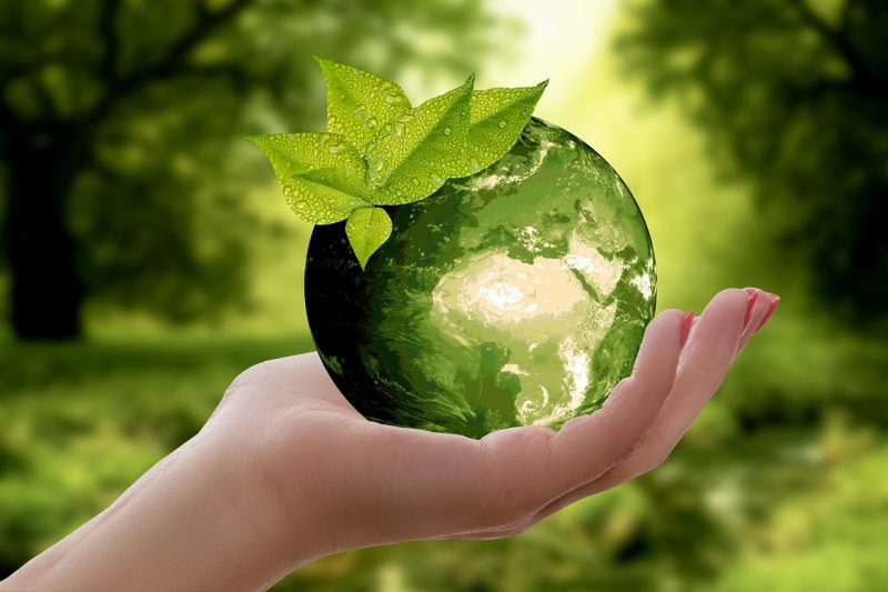 Wat is een organic footprint?