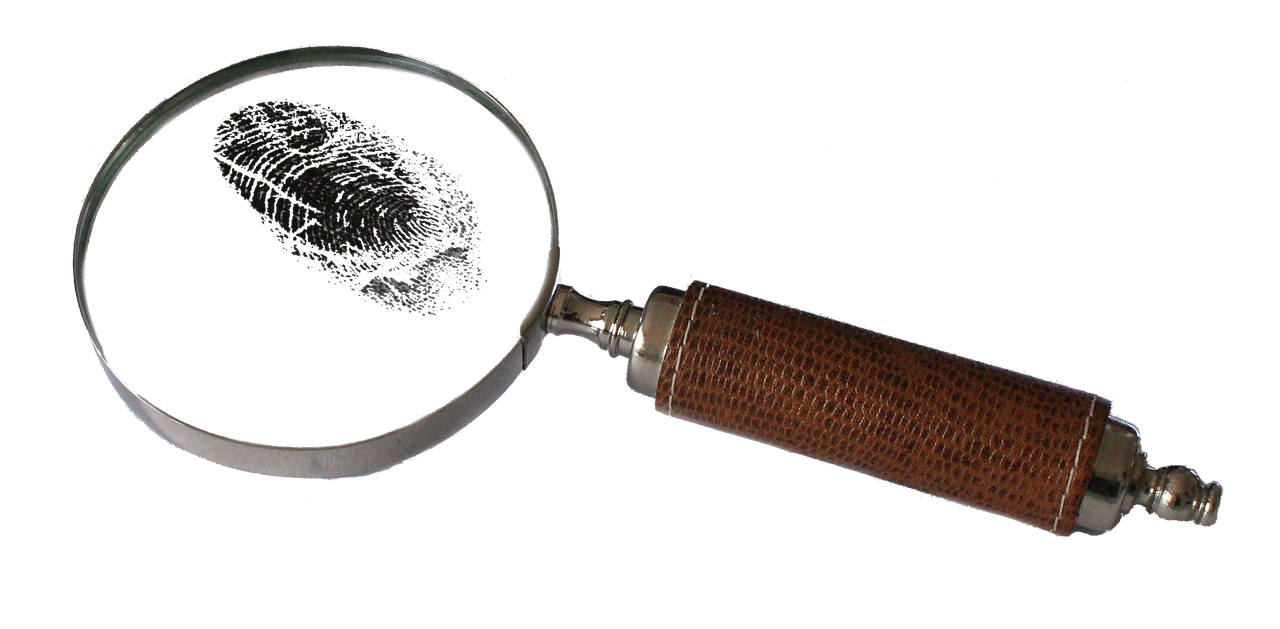 Blogs met veel intern bewijs stijgen