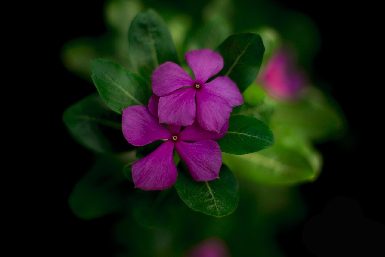 SEO-community ziet nieuwe patronen in recoveries