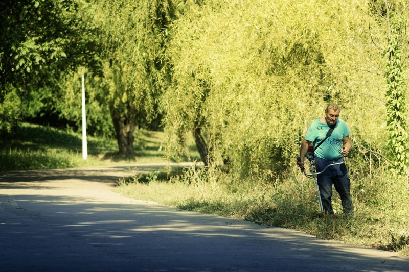 Contentstrategie voor coaches
