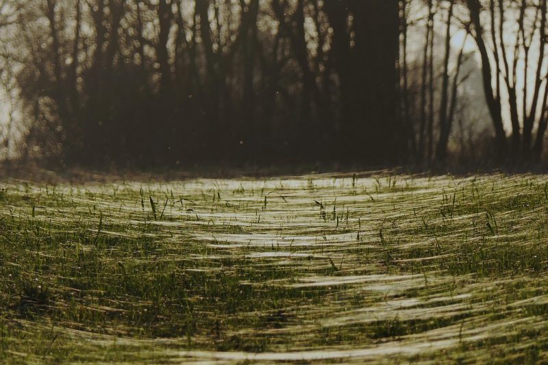 Netpeak Spider SEO crawler