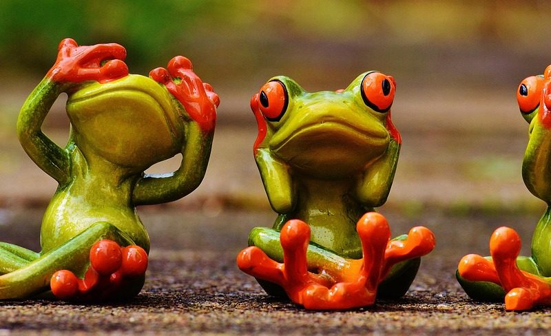 Wat is search-intelligence content