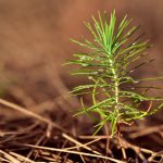 Linkbuilding strategie voor nieuwe merken