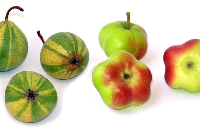 SERPMaster API tools