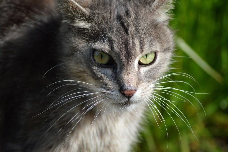 Linkbuilding voor makelaarskantoren
