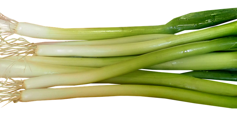 Linkbuilding voor experience en uitjes websites