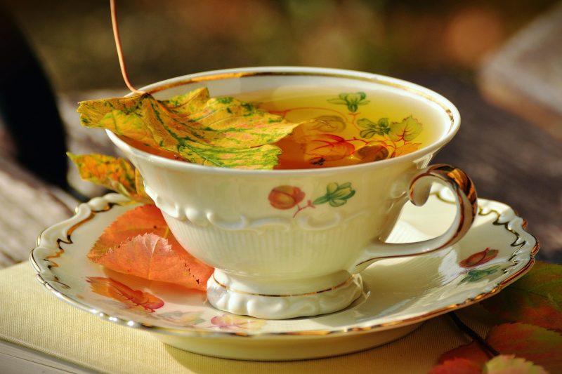 Webflow SEO settings