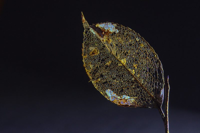 Wat is link entropy?