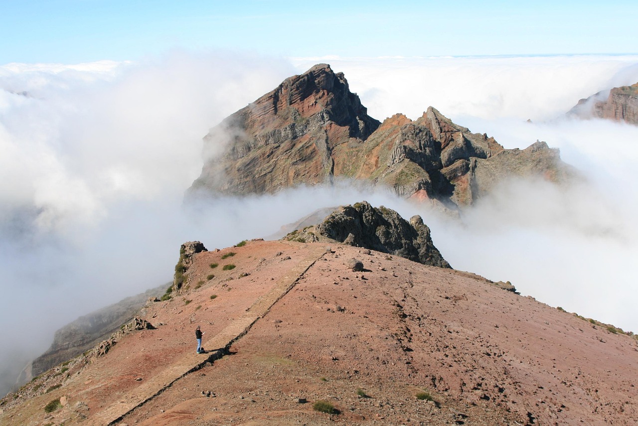 ClickUp SEO templates